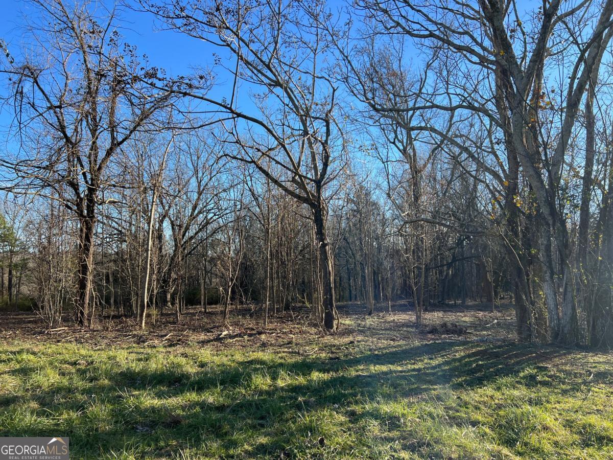 4638 Highway 63 Carnesville GA 30521