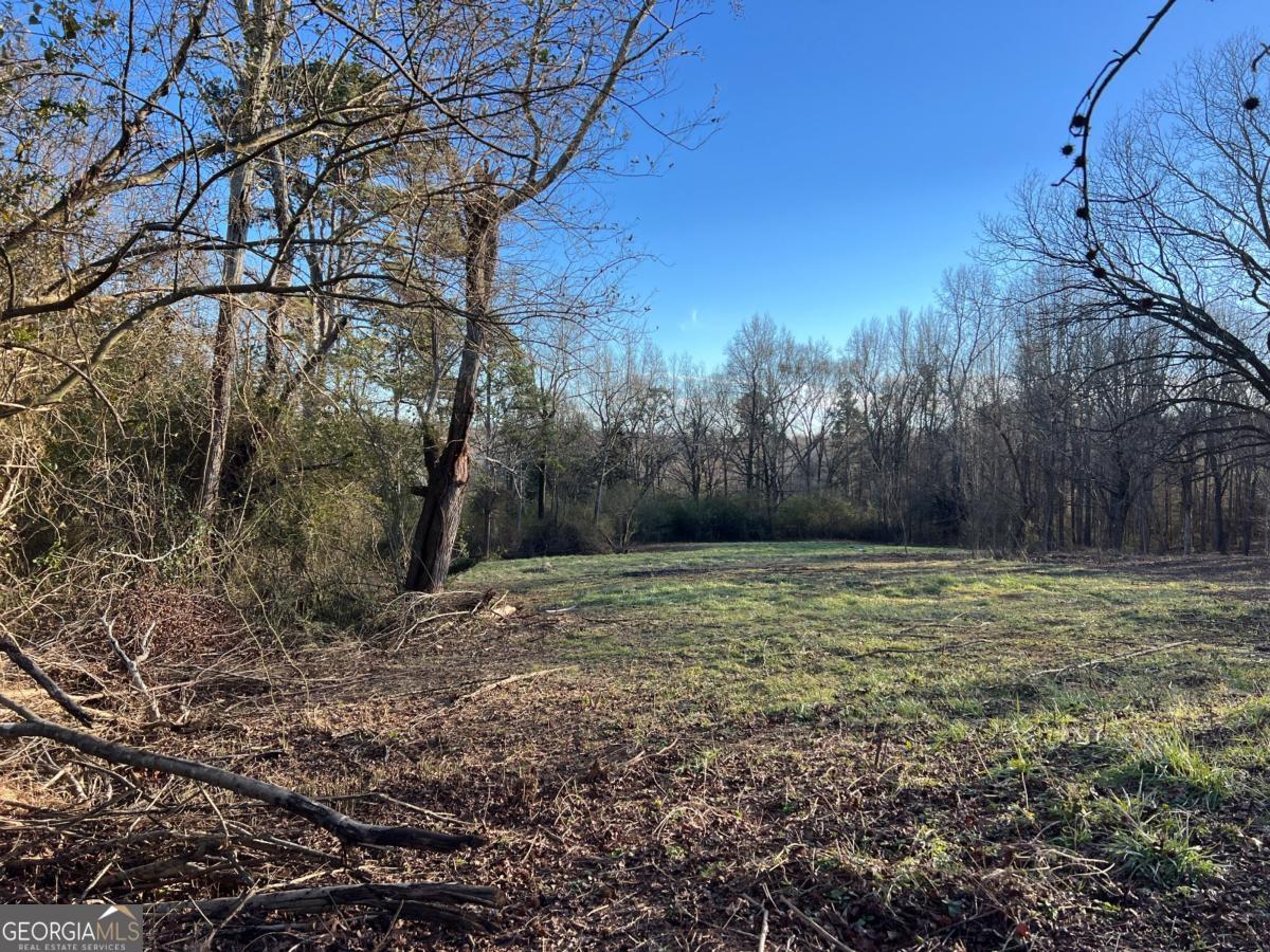 4638 Highway 63 Carnesville GA 30521