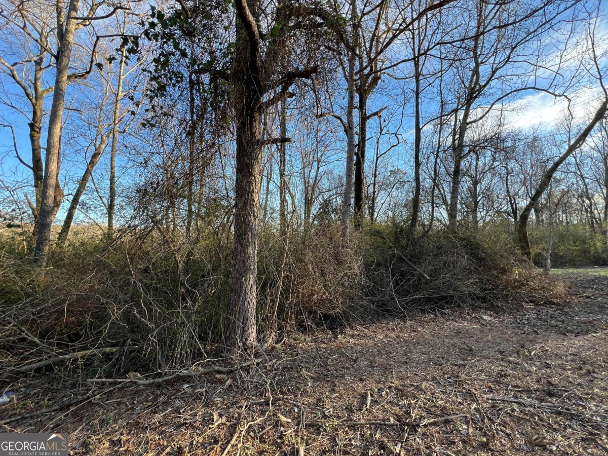 4638 Highway 63 Carnesville GA 30521