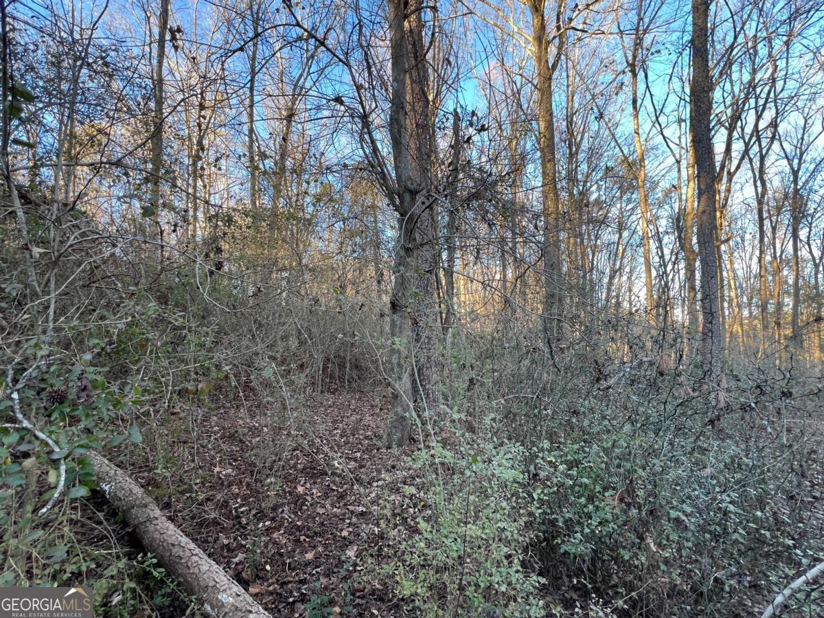 4638 Highway 63 Carnesville GA 30521