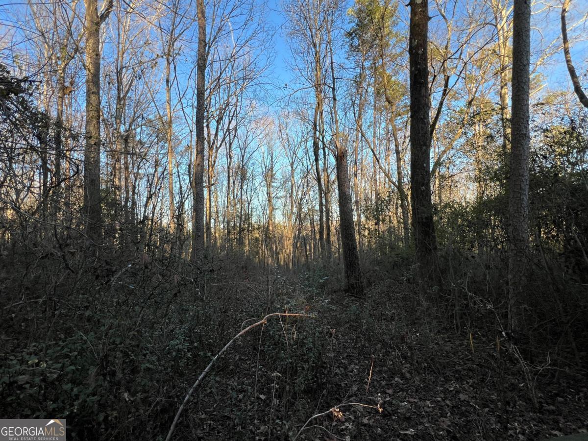 4638 Highway 63 Carnesville GA 30521