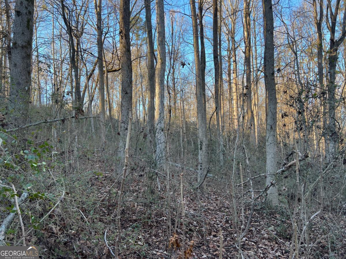 4638 Highway 63 Carnesville GA 30521