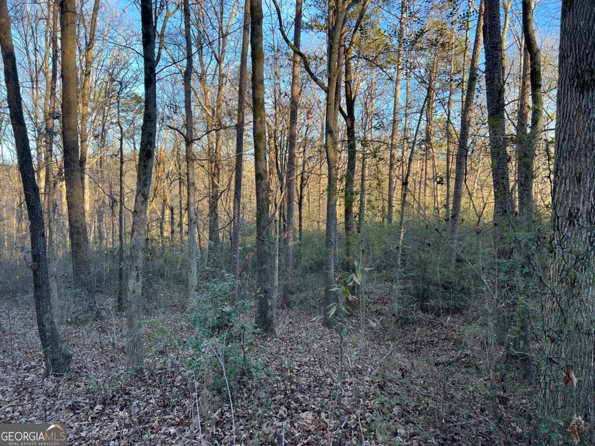 4638 Highway 63 Carnesville GA 30521