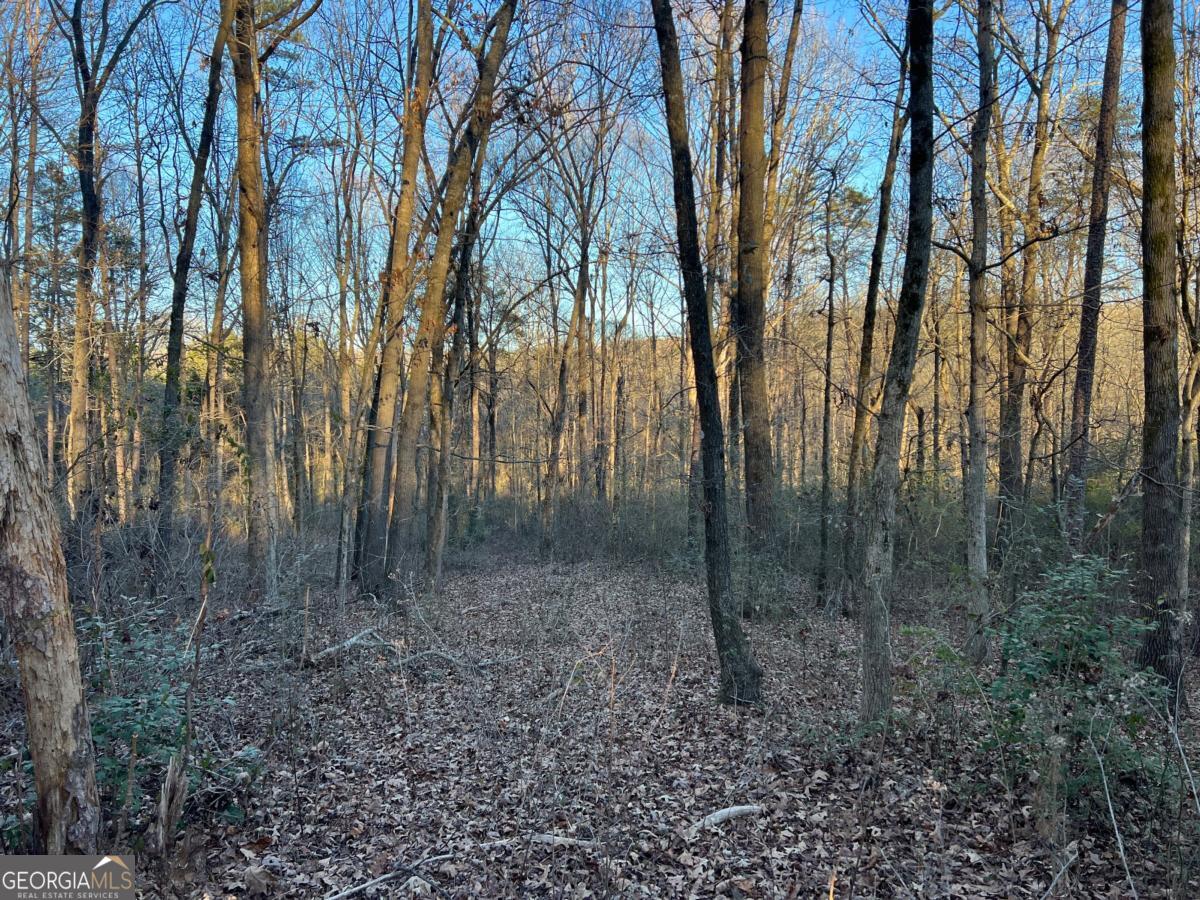 4638 Highway 63 Carnesville GA 30521