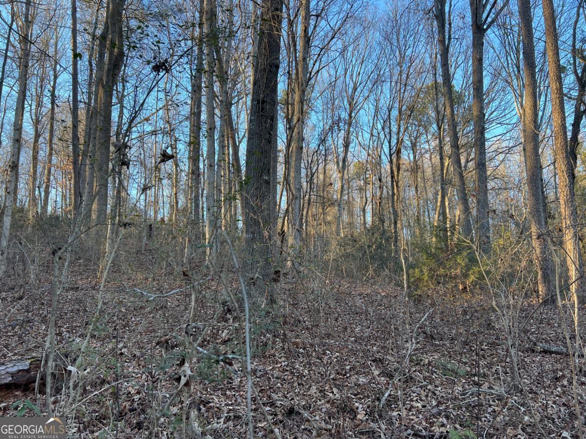 4638 Highway 63 Carnesville GA 30521