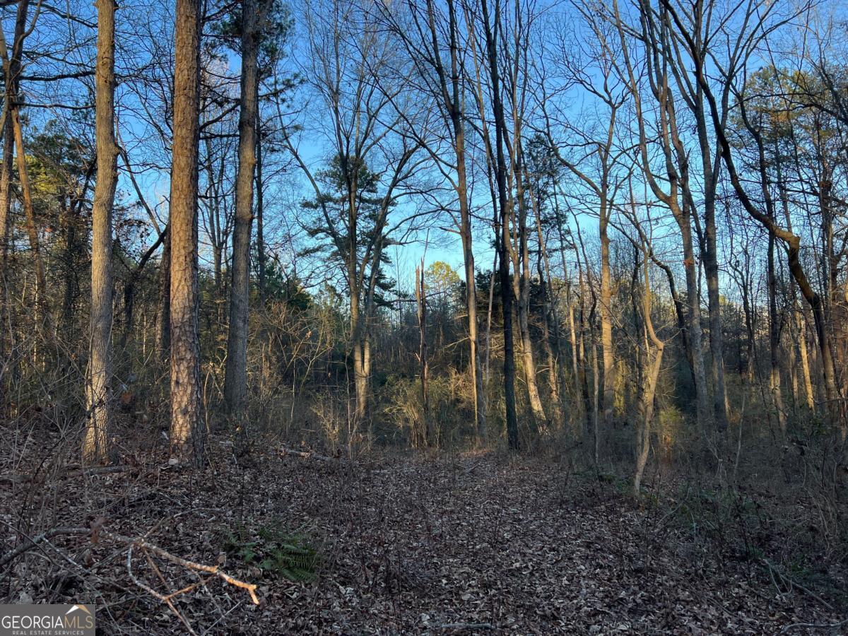 4638 Highway 63 Carnesville GA 30521