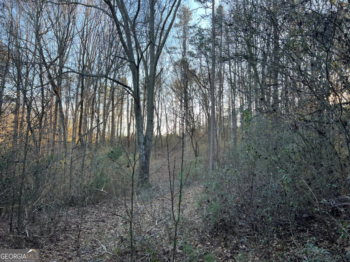 4638 Highway 63 Carnesville GA 30521