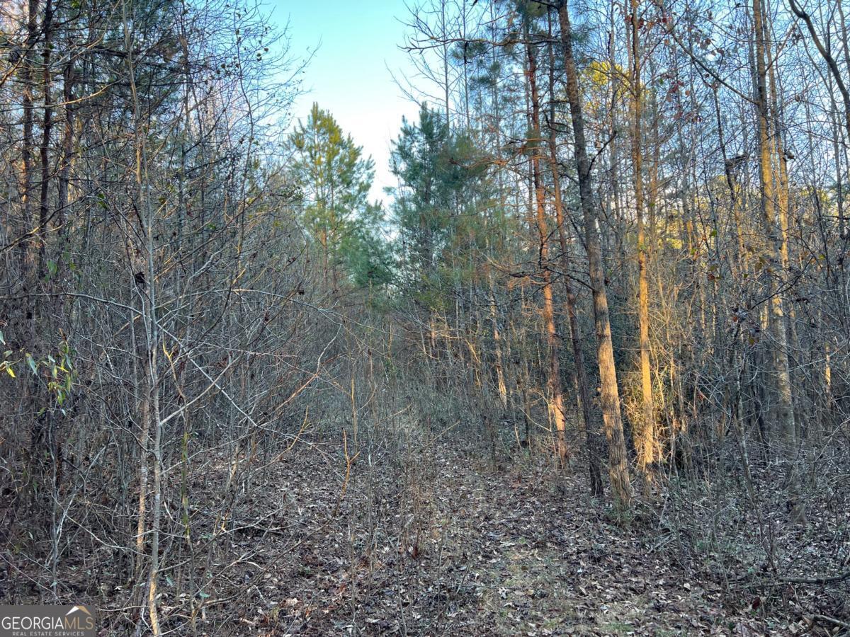 4638 Highway 63 Carnesville GA 30521