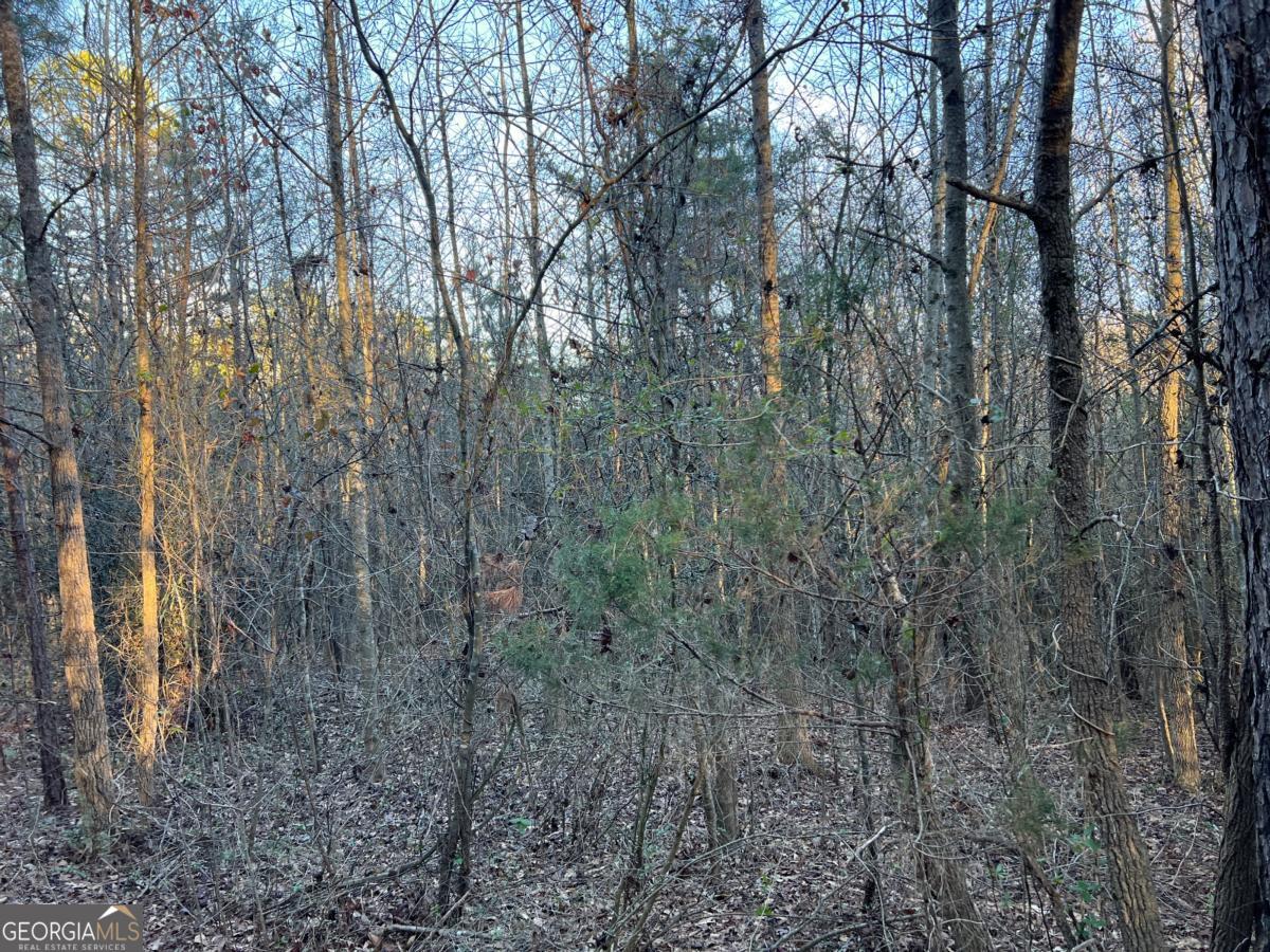 4638 Highway 63 Carnesville GA 30521