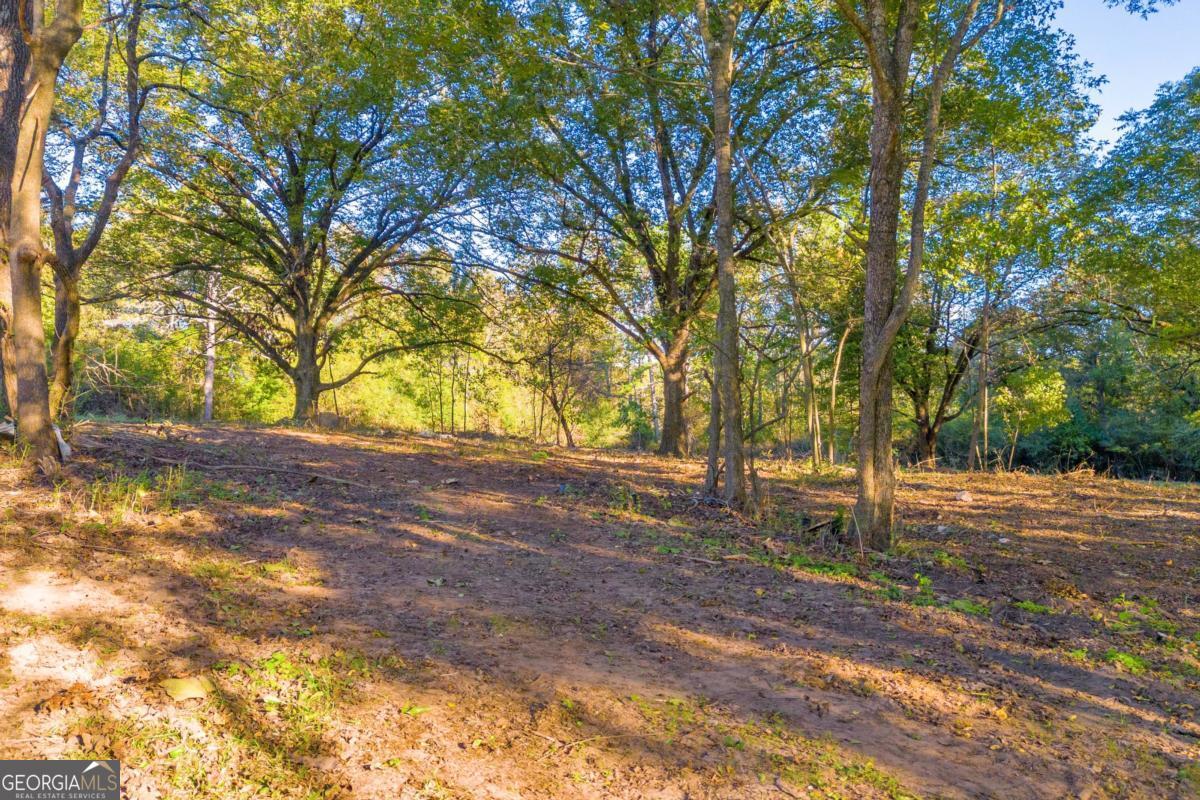 4638 Highway 63 Carnesville GA 30521