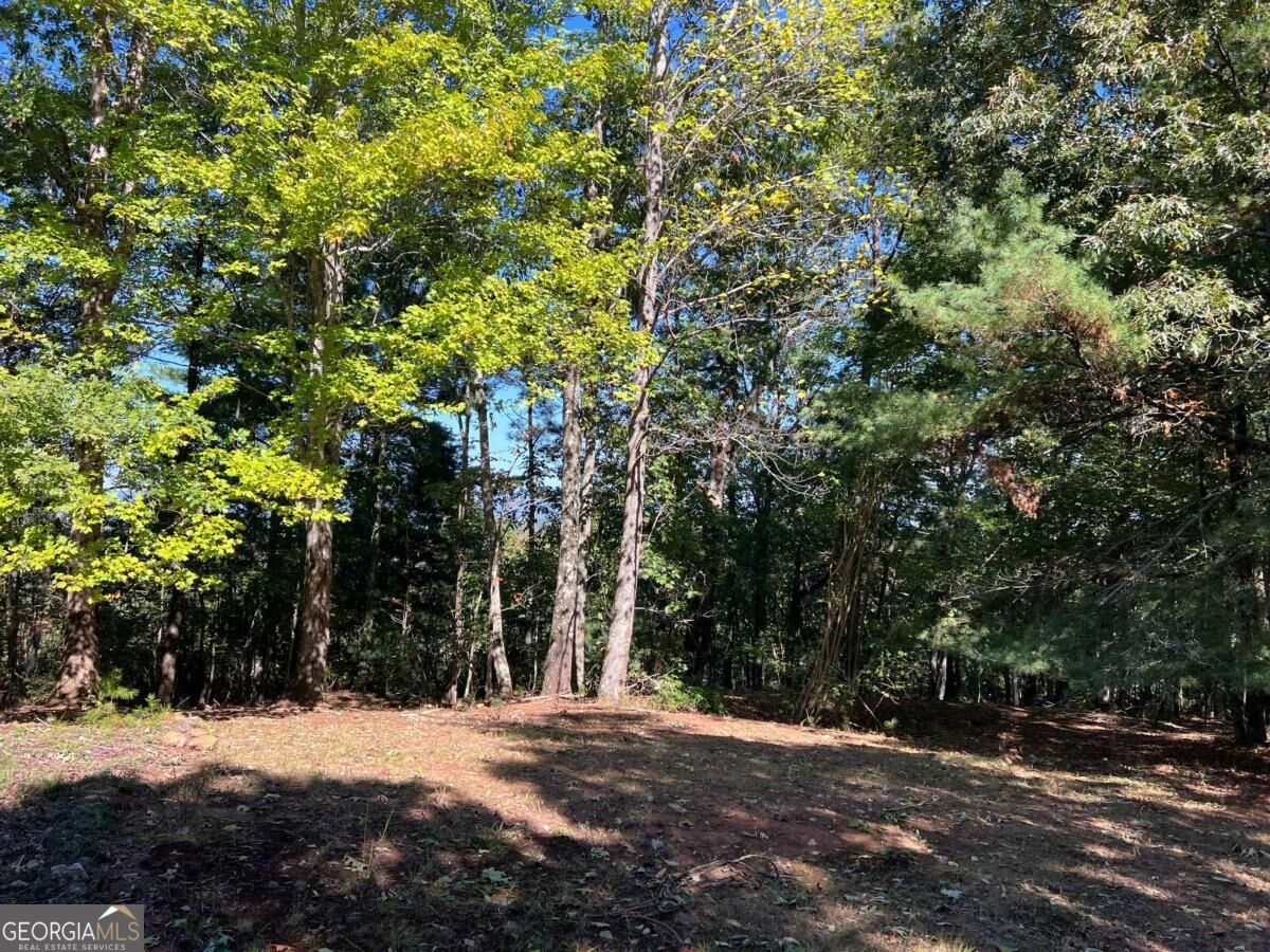 395 Skylark Way Jasper GA 30143