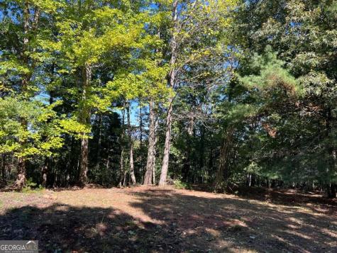 395 Skylark Way Jasper GA 30143