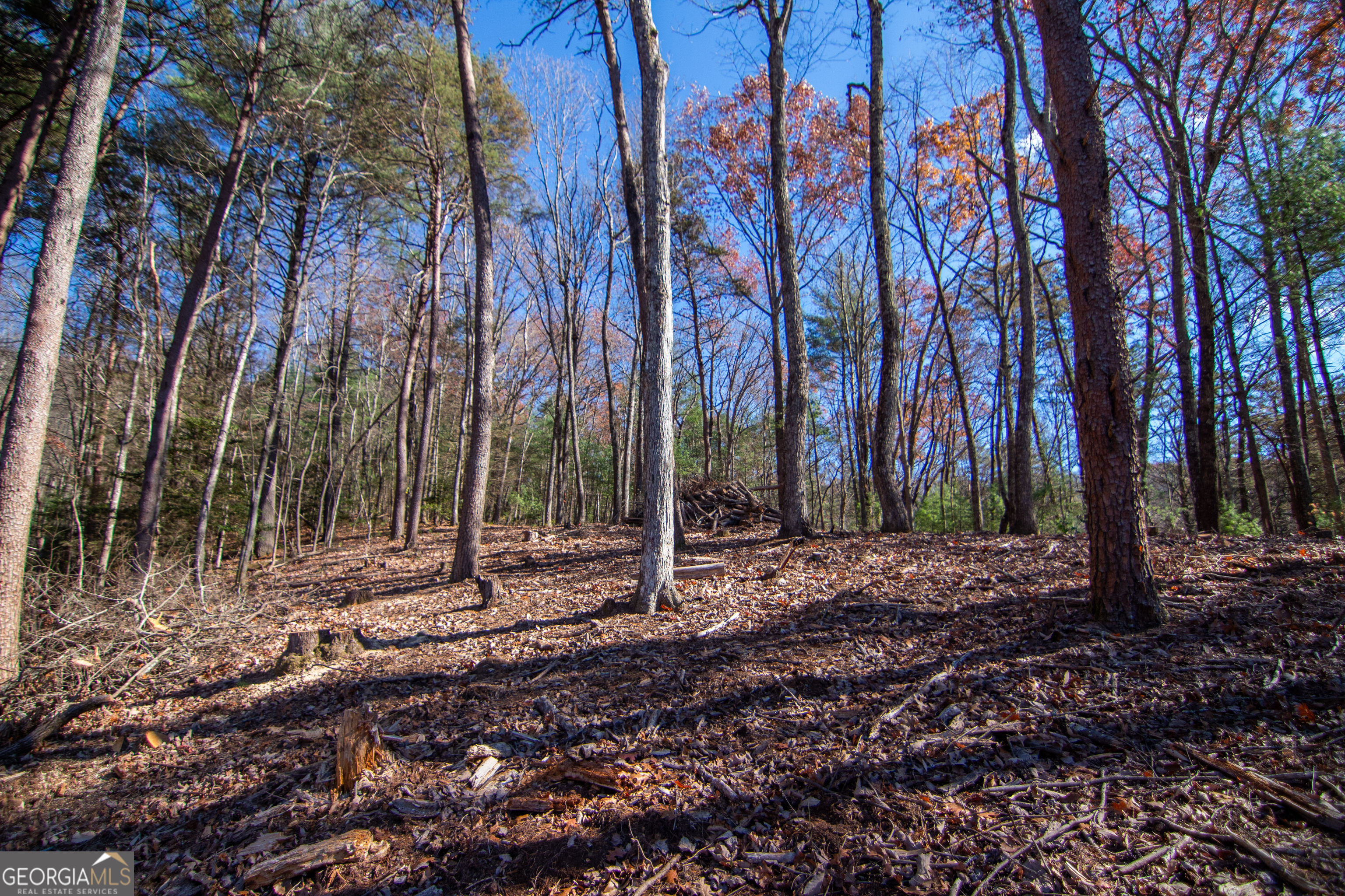 Lot 2a Clay's Way Blue Ridge GA 30513