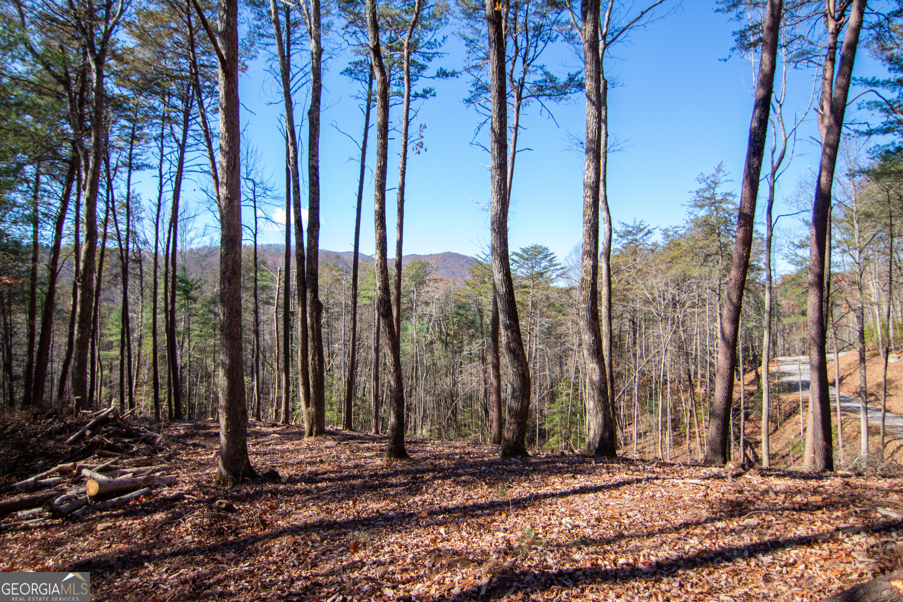 Lot 2a Clay's Way Blue Ridge GA 30513