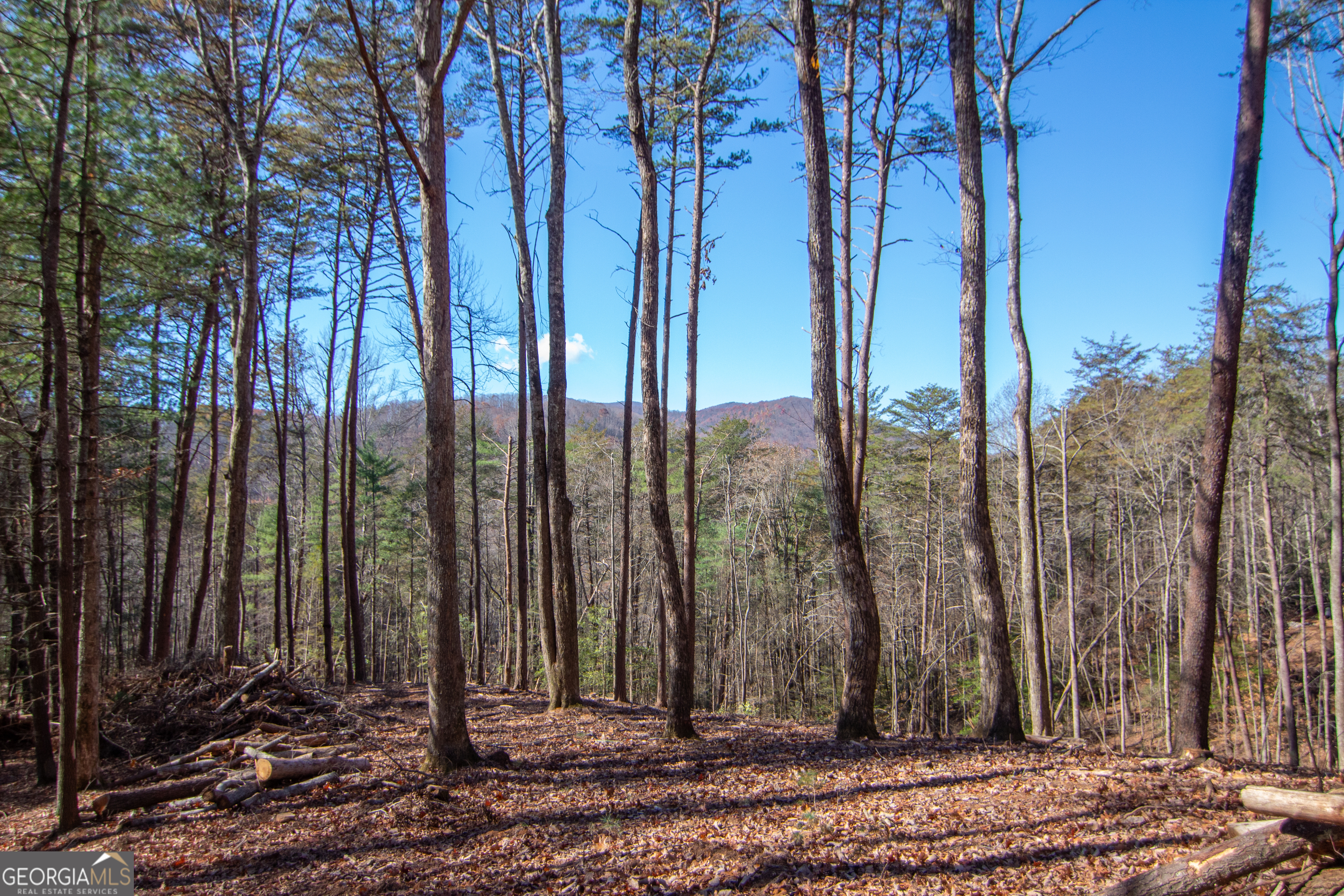 Lot 2a Clay's Way Blue Ridge GA 30513