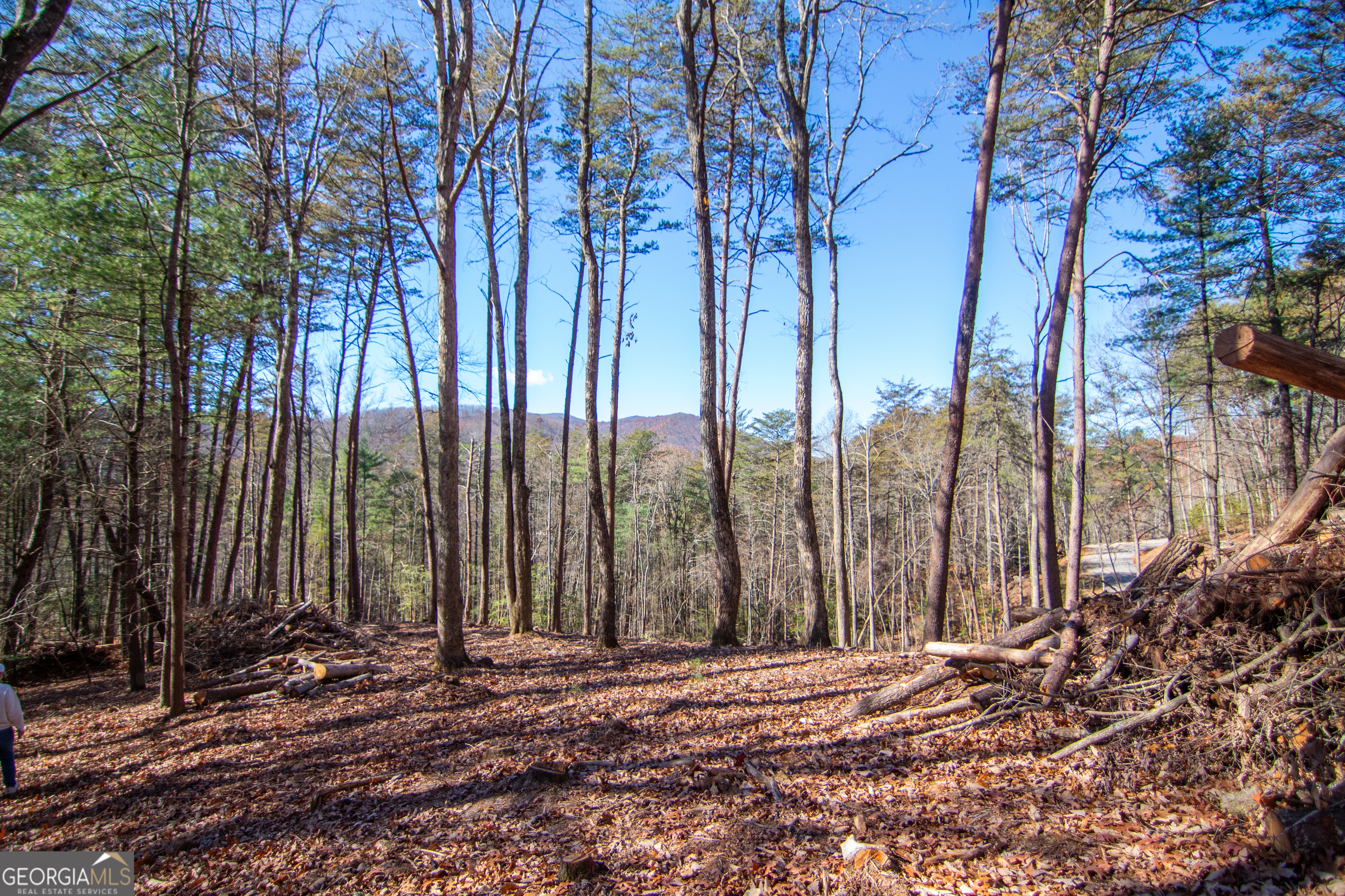 Lot 2a Clay's Way Blue Ridge GA 30513