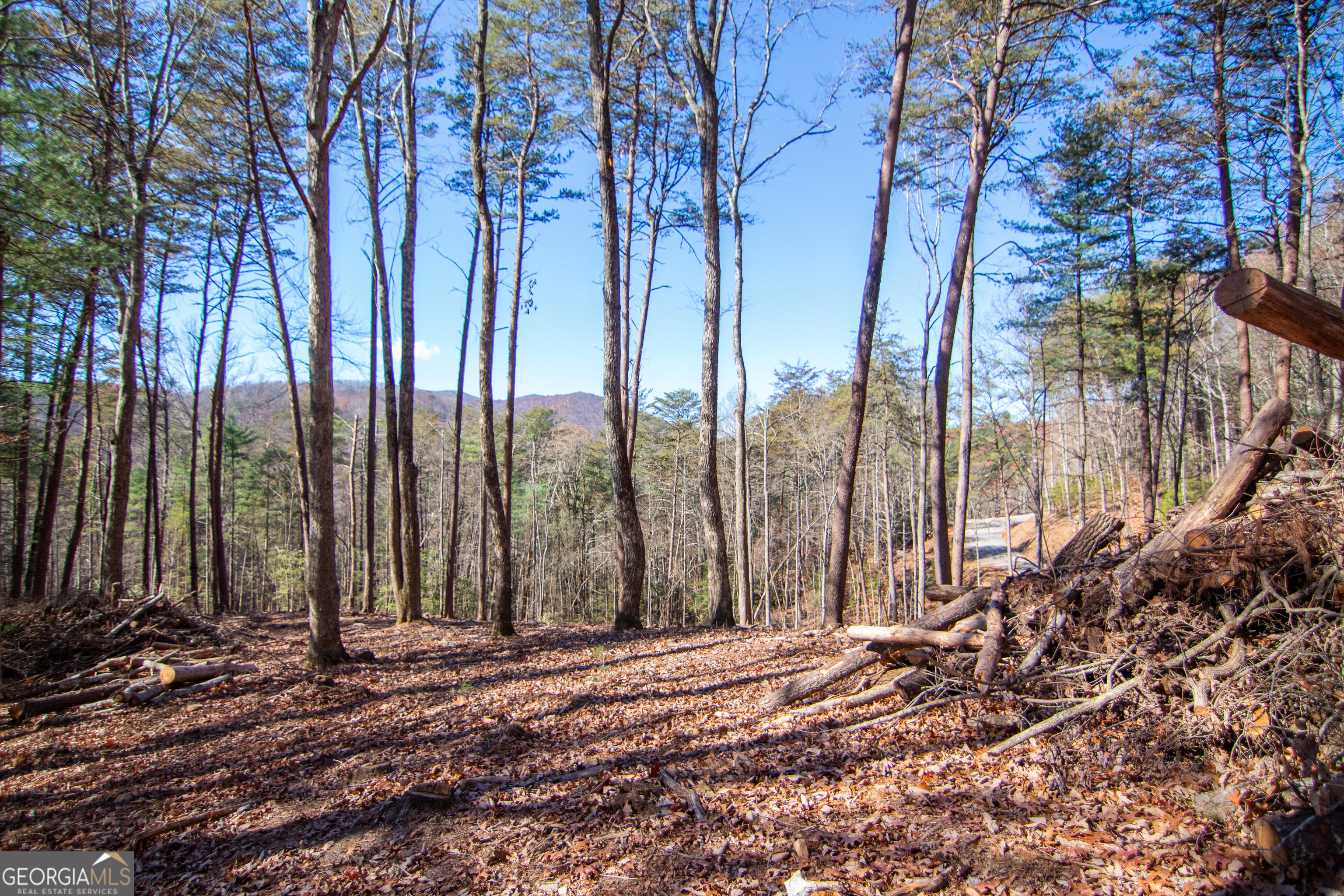 Lot 2a Clay's Way Blue Ridge GA 30513