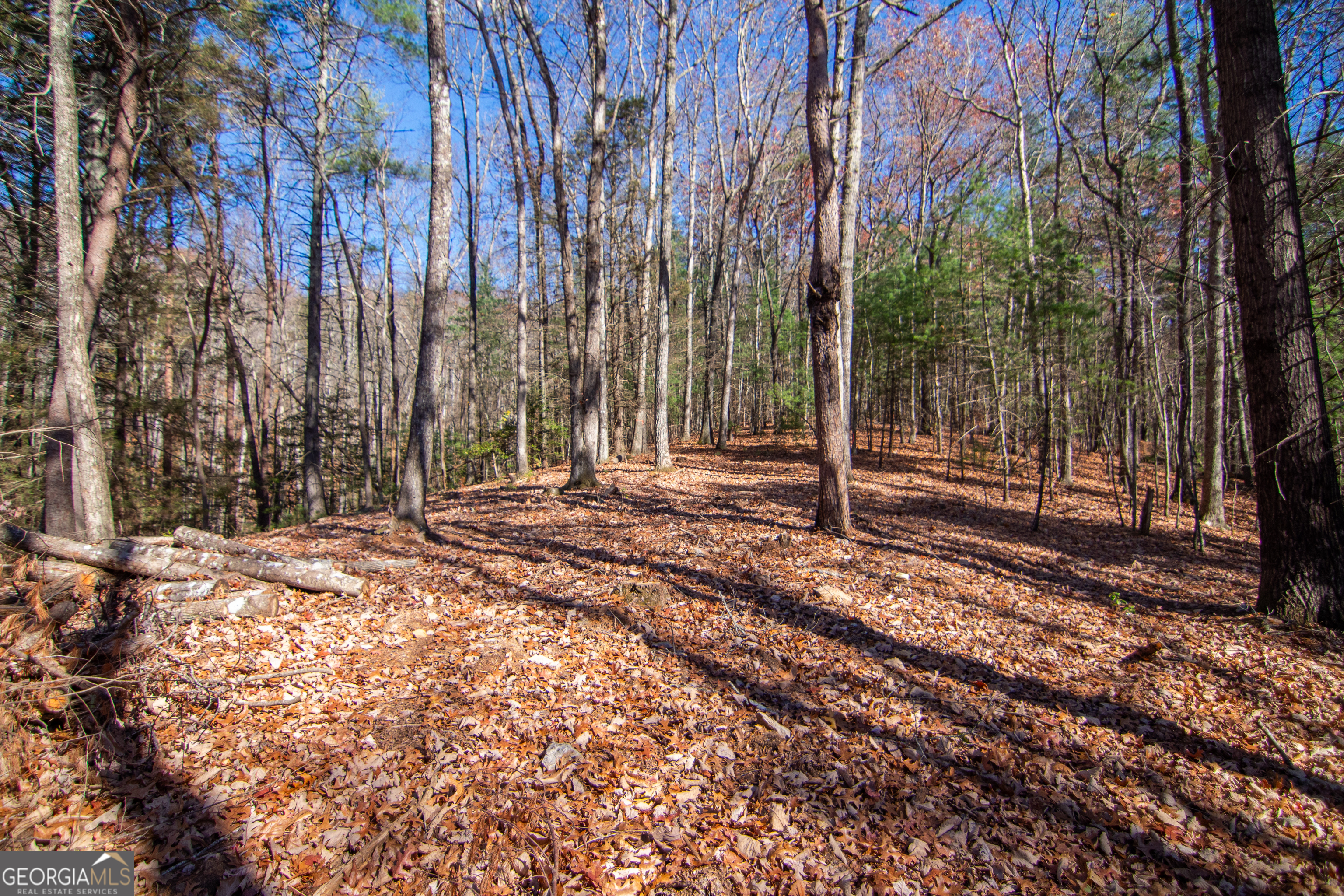 Lot 2a Clay's Way Blue Ridge GA 30513