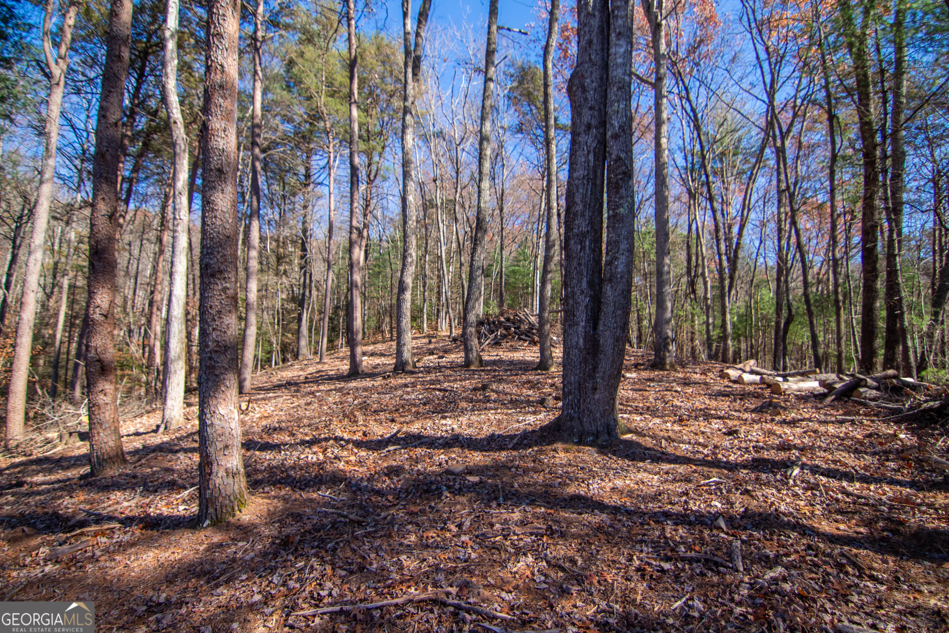 Lot 2a Clay's Way Blue Ridge GA 30513