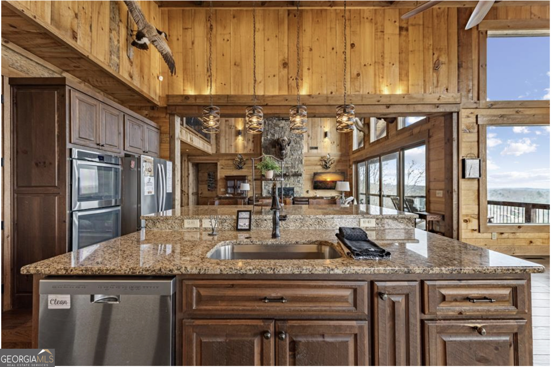 585 Genessee Blue Ridge GA 30513