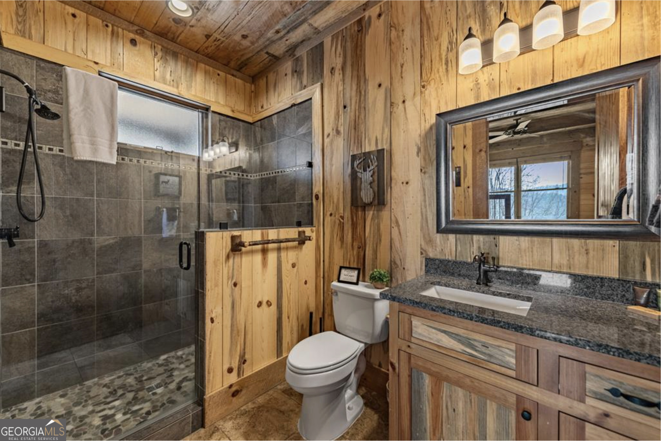 585 Genessee Blue Ridge GA 30513