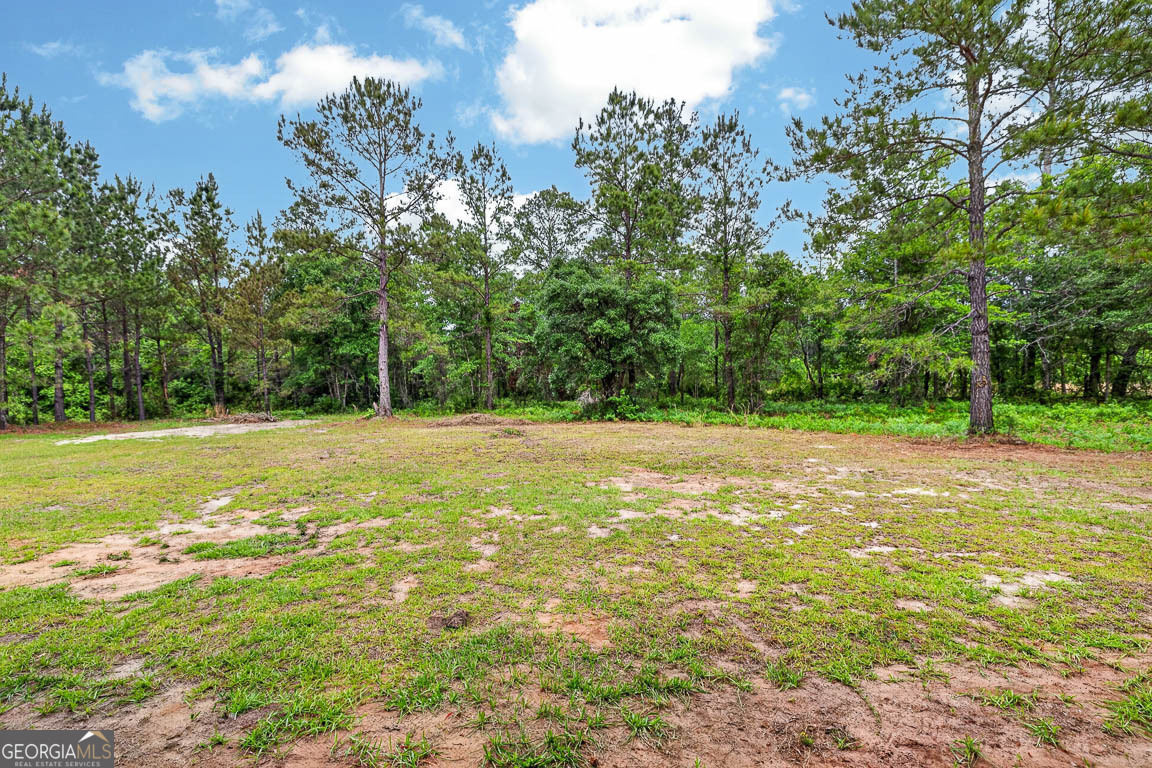 121 Bartram Loop Waynesville GA 31566