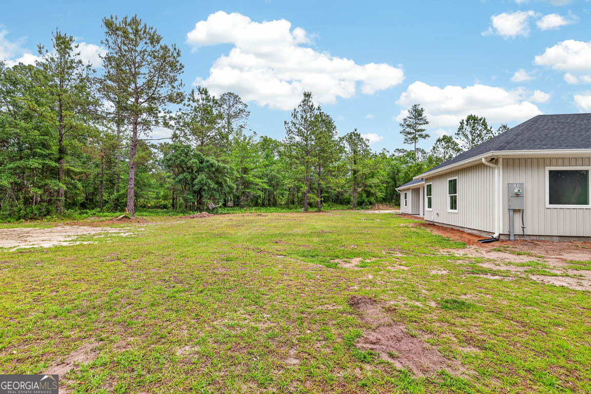 121 Bartram Loop Waynesville GA 31566