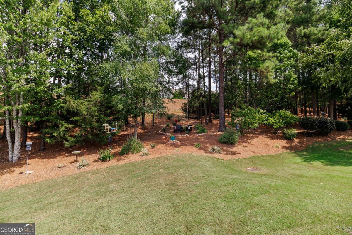 1090 Branch Creek Way Greensboro GA 30642