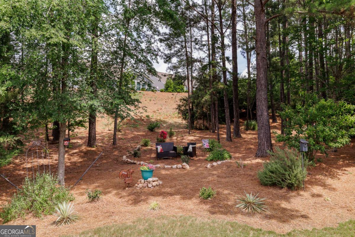 1090 Branch Creek Way Greensboro GA 30642
