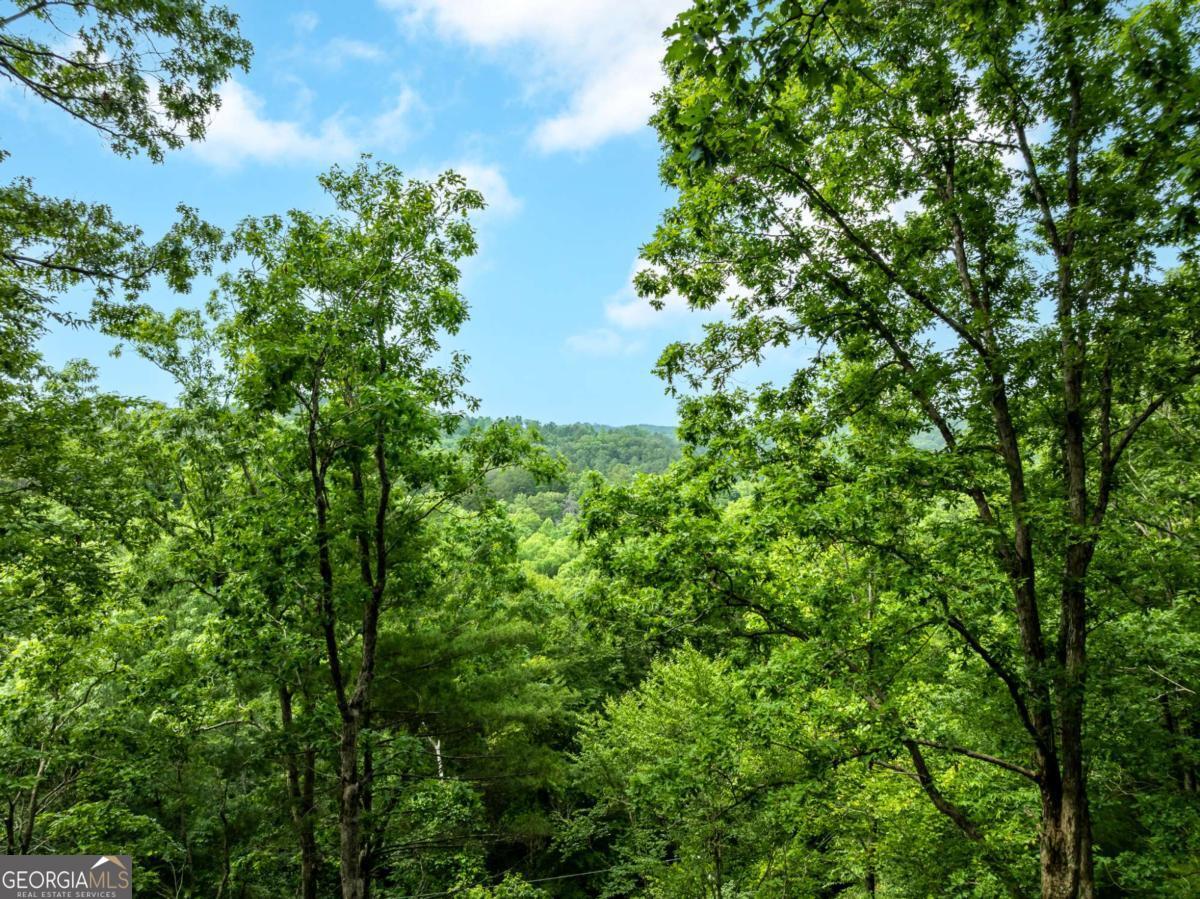 193 Alm Lane Ellijay GA 30540
