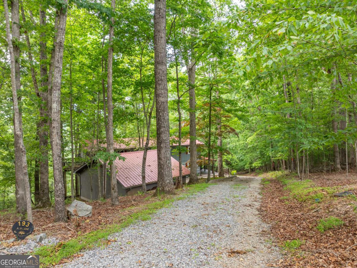 193 Alm Lane Ellijay GA 30540
