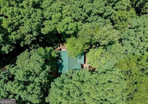 493 Vista View Place Cleveland GA 30528