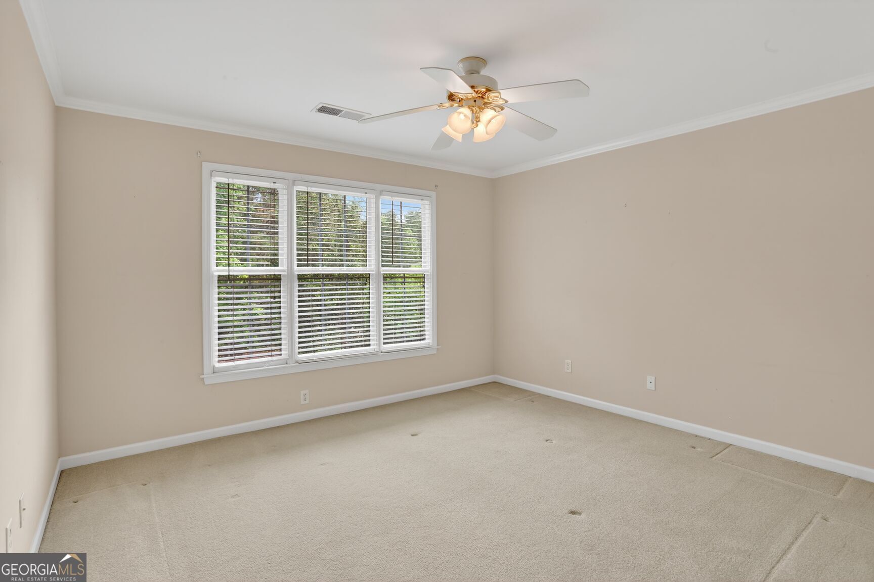 1108 Astoria Lane Peachtree City GA 30269