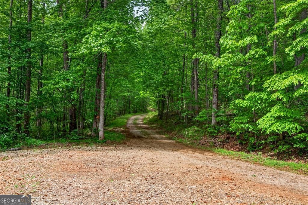 1 Thurmond Walker Road Dahlonega GA 30533