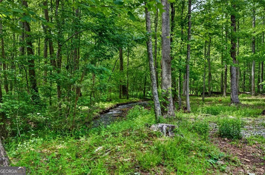 1 Thurmond Walker Road Dahlonega GA 30533