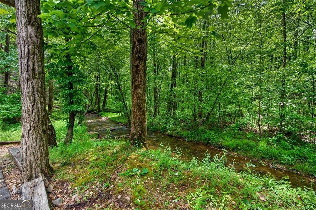 1 Thurmond Walker Road Dahlonega GA 30533