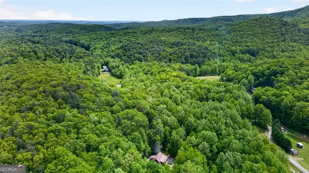 1 Thurmond Walker Road Dahlonega GA 30533