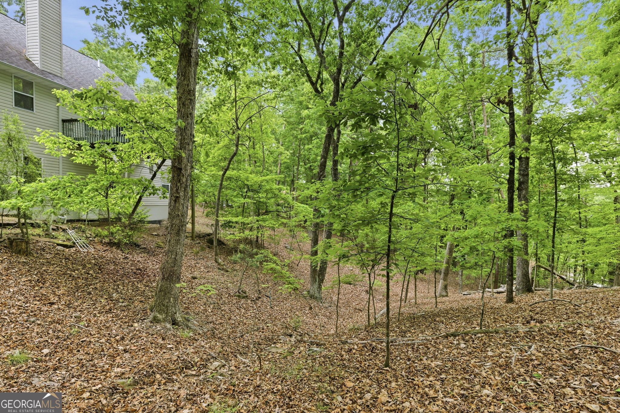 1077 Panorama Drive Sautee Nacoochee GA 30571