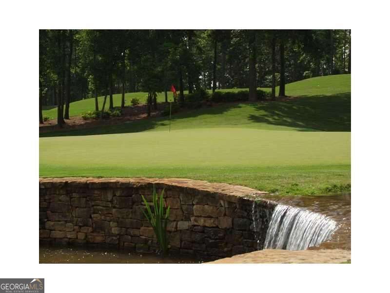1000 Overlook Terrace Ball Ground GA 30107
