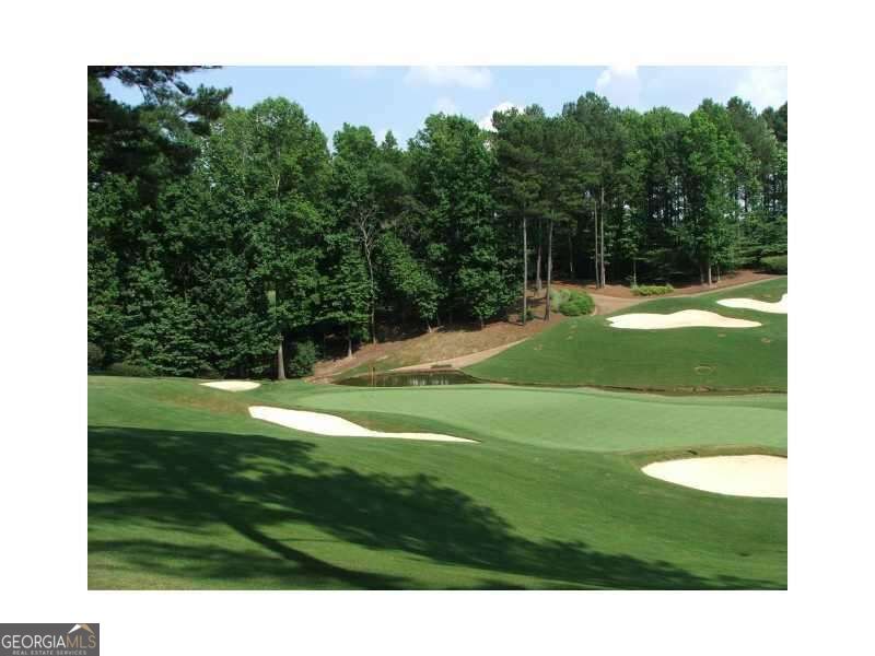 1000 Overlook Terrace Ball Ground GA 30107