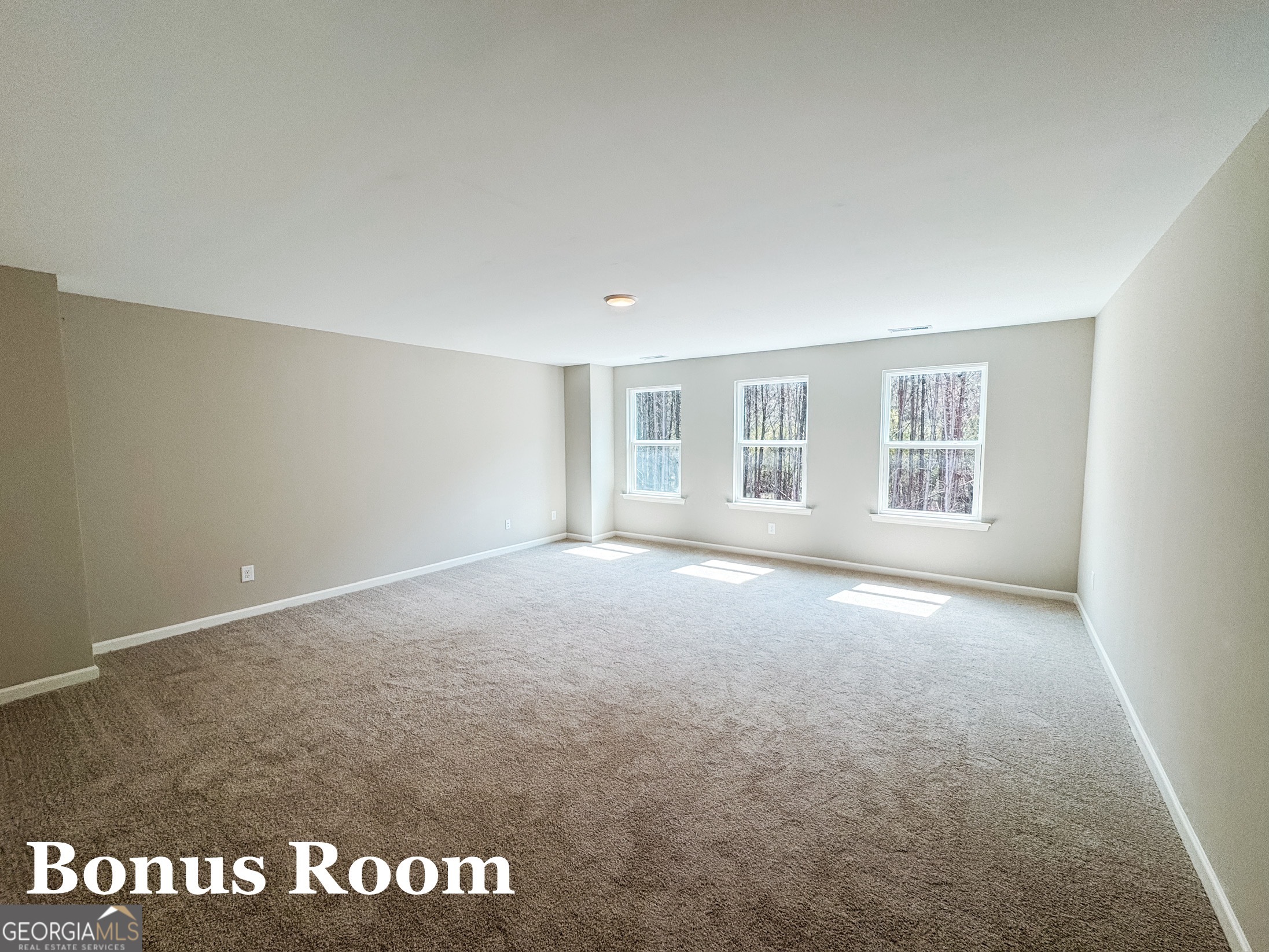 708 Traveler Lane Williamson GA 30292