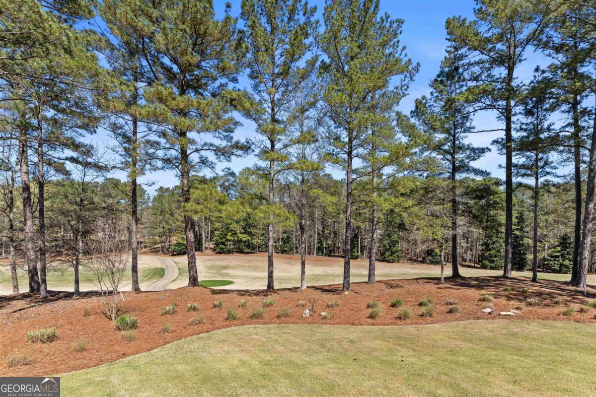 1130 Bachelors Run Greensboro GA 30642
