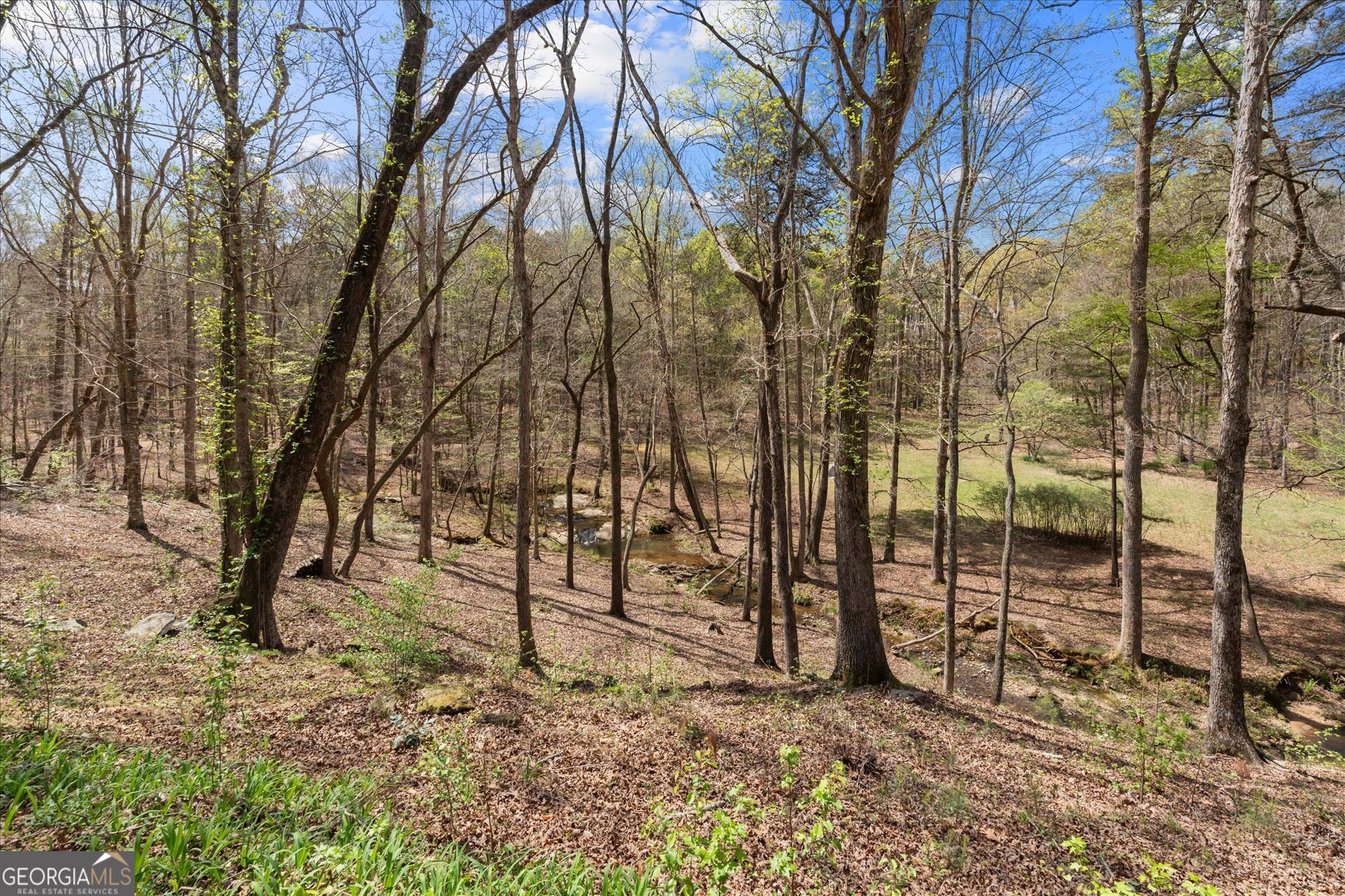 3880 Fern Springs Lane Douglasville GA 30135