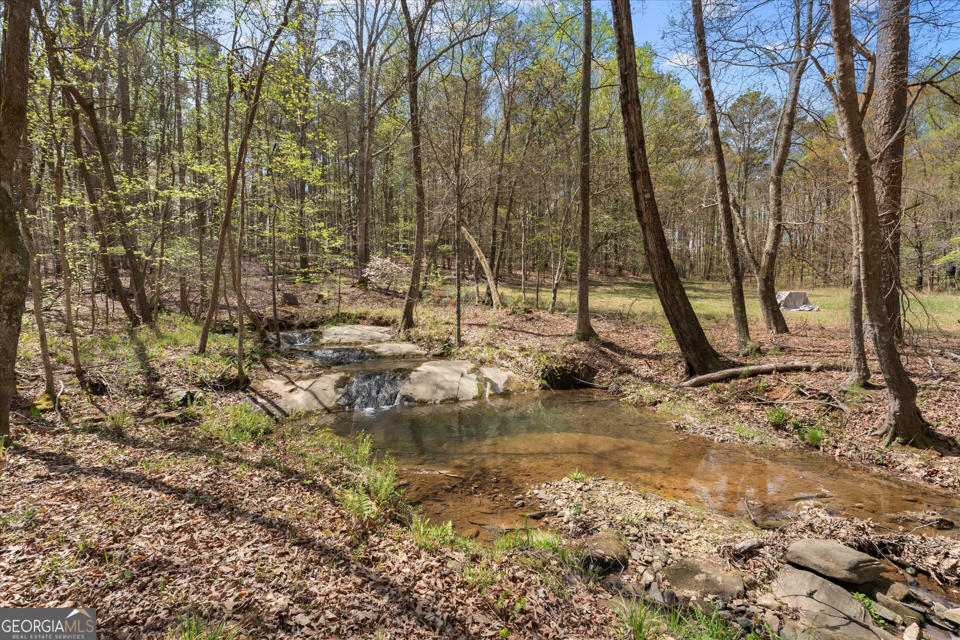 3880 Fern Springs Lane Douglasville GA 30135