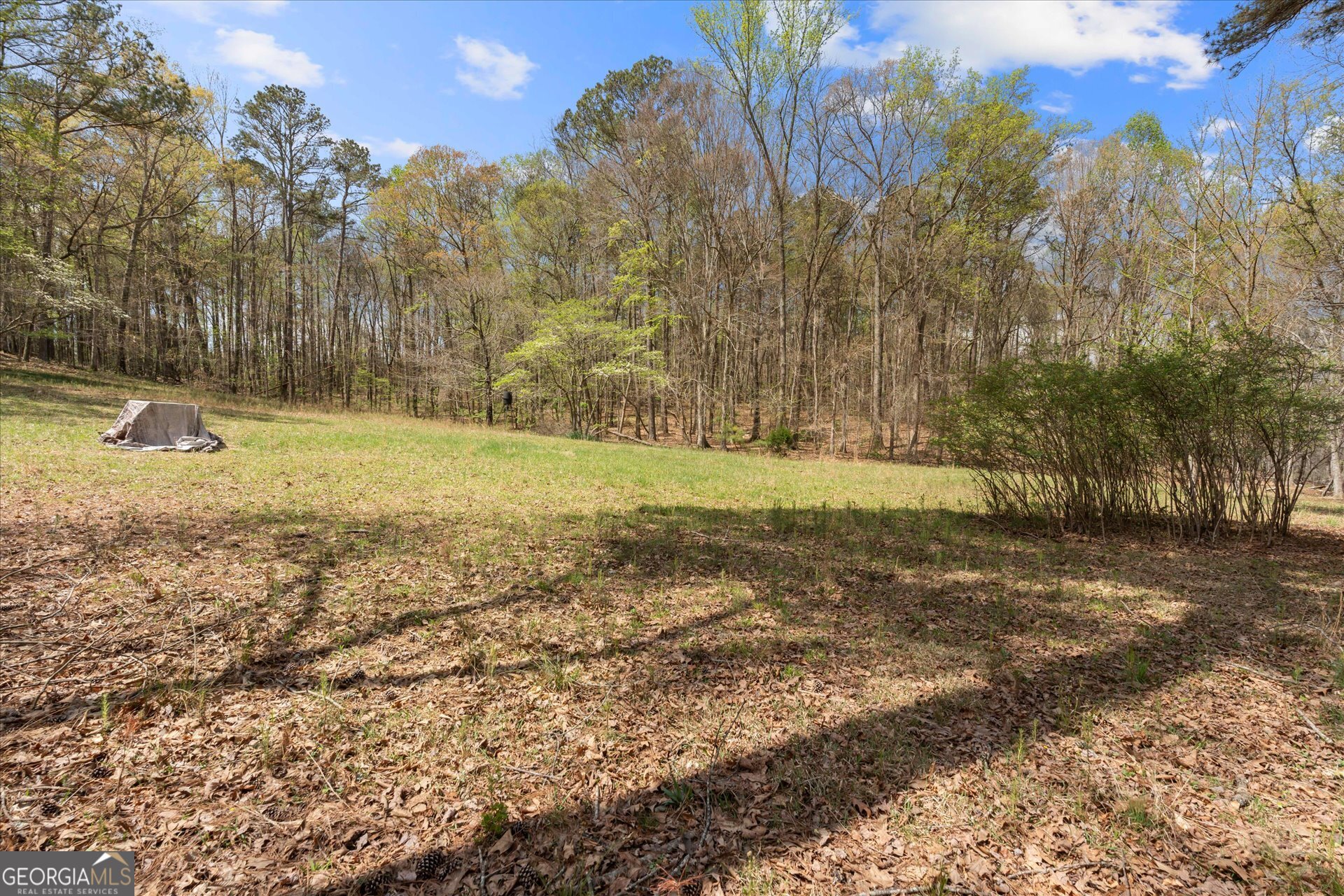 3880 Fern Springs Lane Douglasville GA 30135