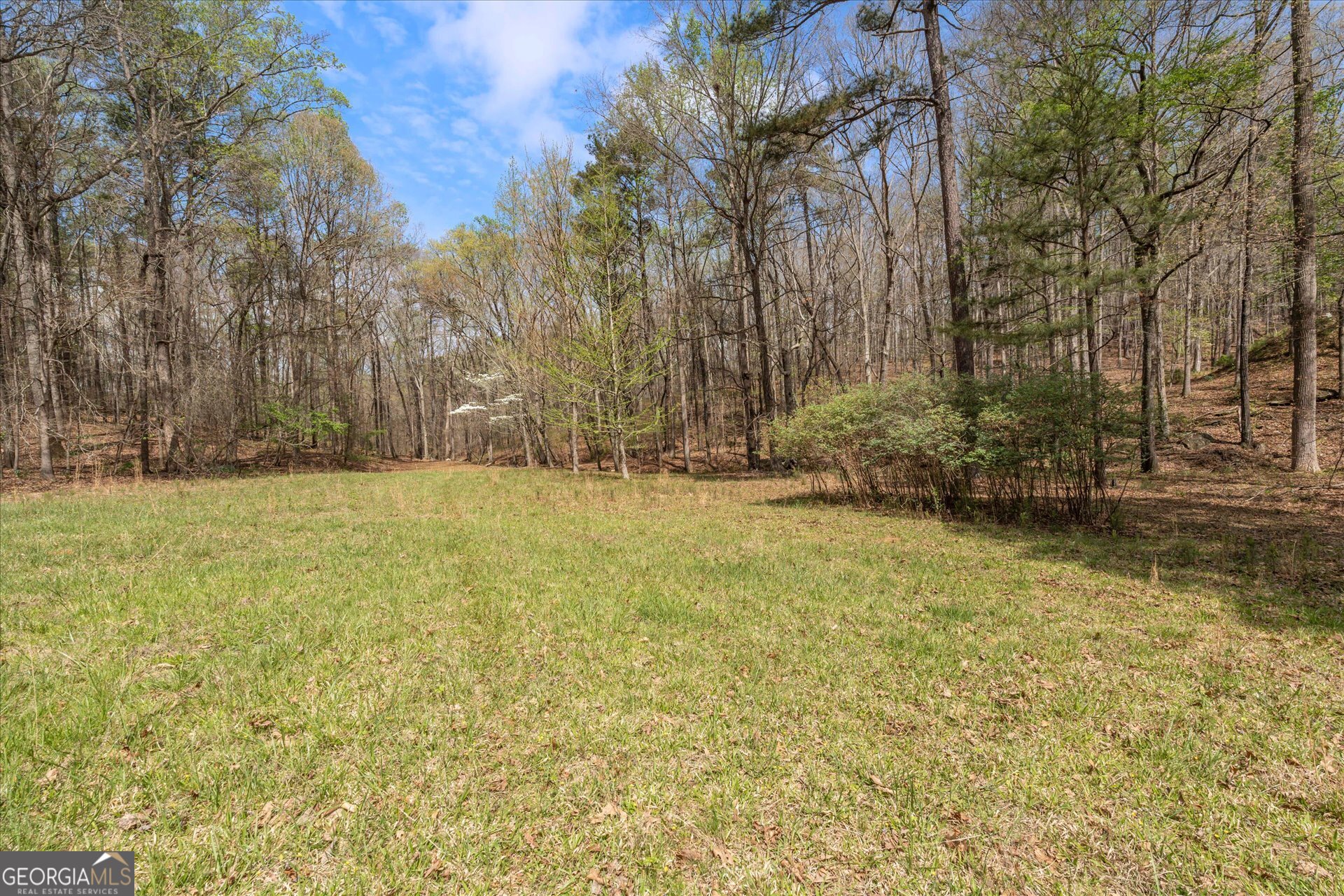 3880 Fern Springs Lane Douglasville GA 30135