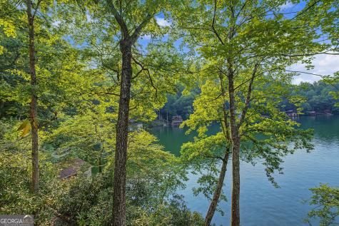 156 Baldwin Lane Clayton GA 30525