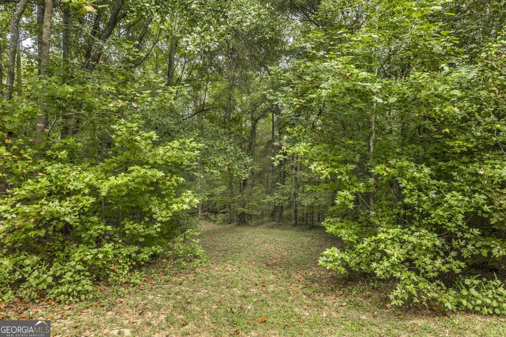 2489 Boxankle Road Forsyth GA 31029