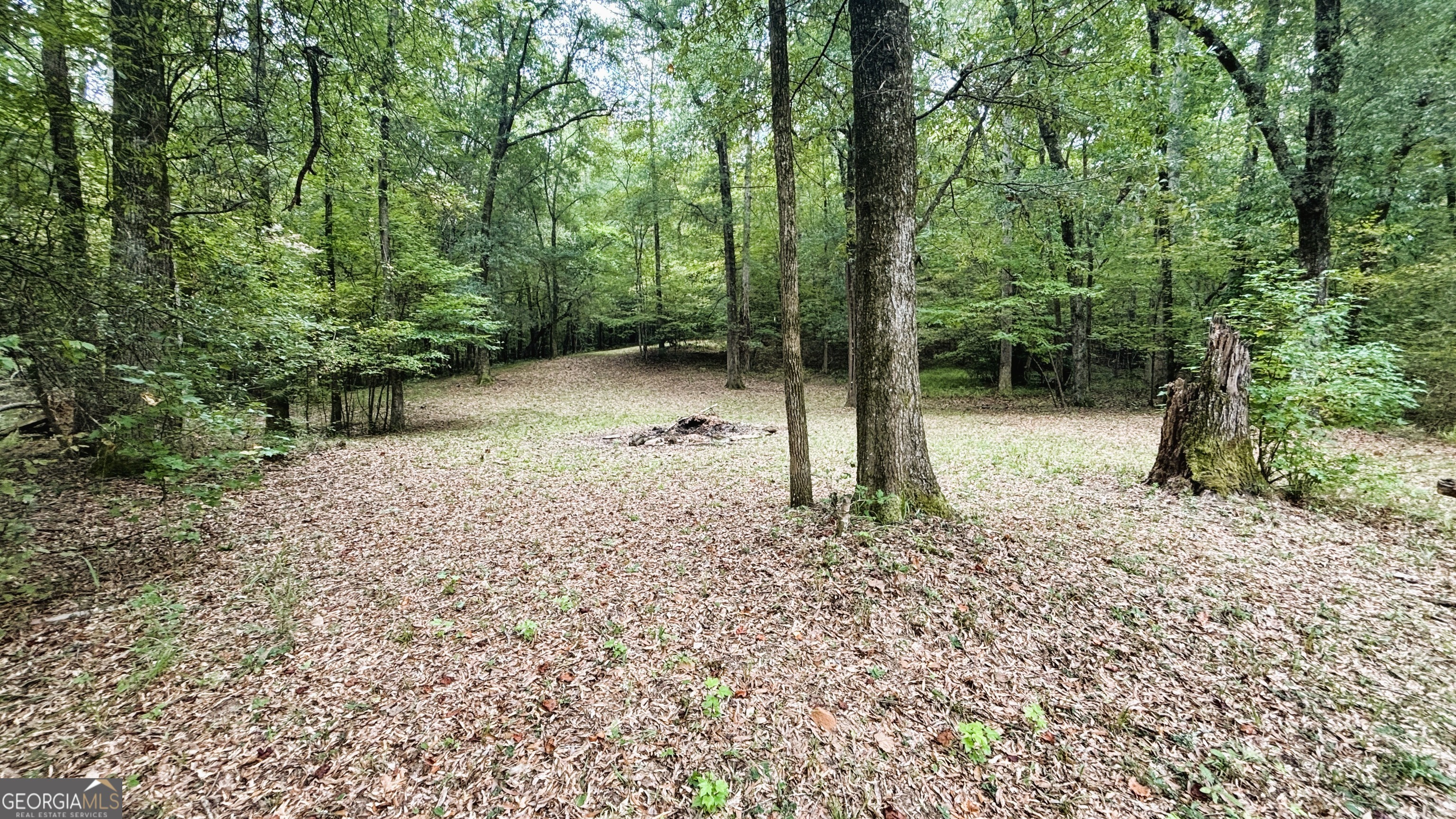 2489 Boxankle Road Forsyth GA 31029