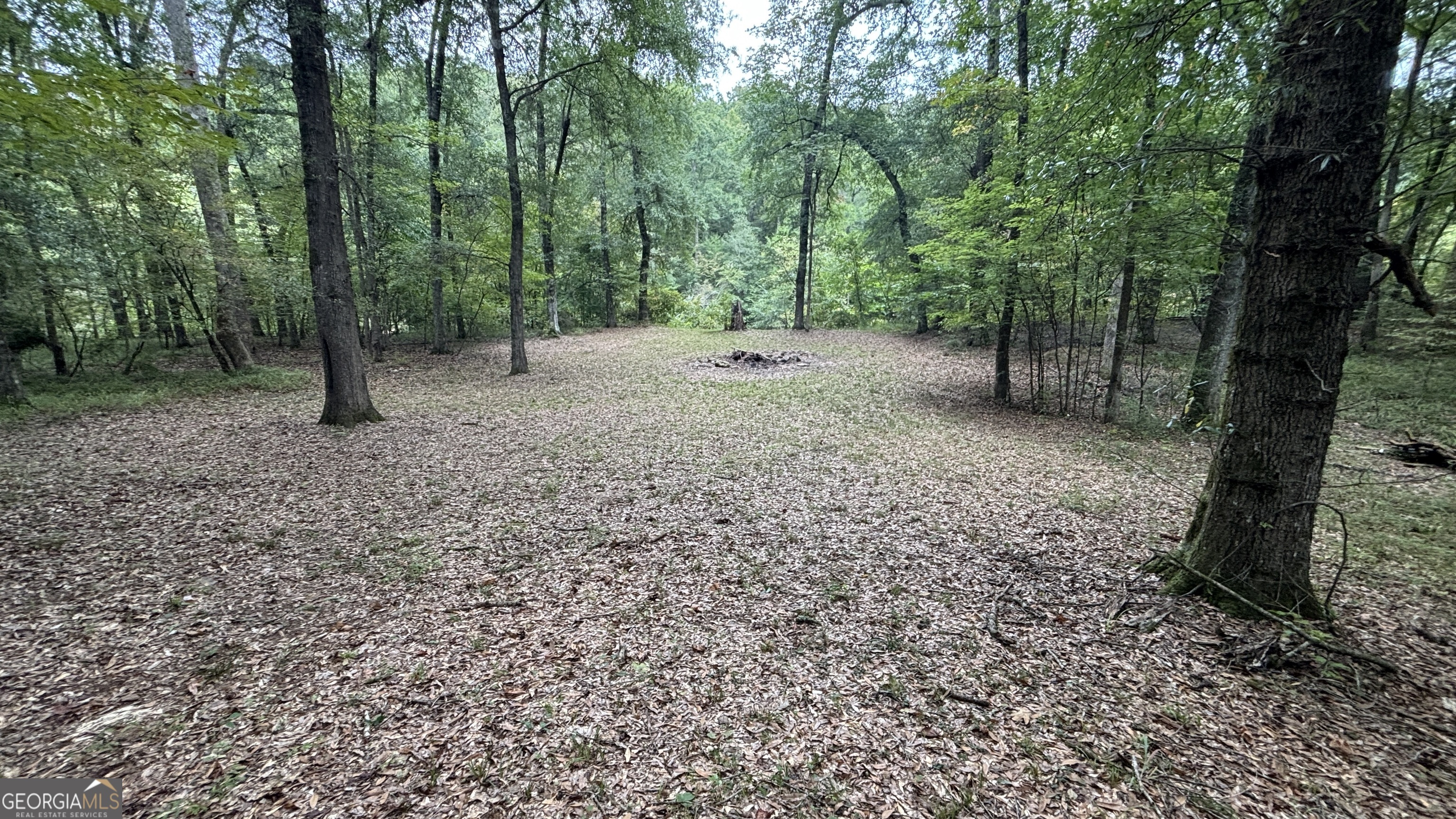 2489 Boxankle Road Forsyth GA 31029